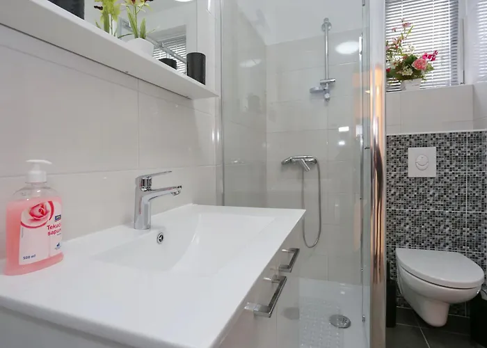 Rocky With Heated Pool & Free Bikes * Zaton (Zadar)