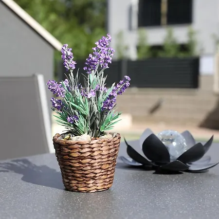 Villa Rocky With Heated Pool & Free Bikes
